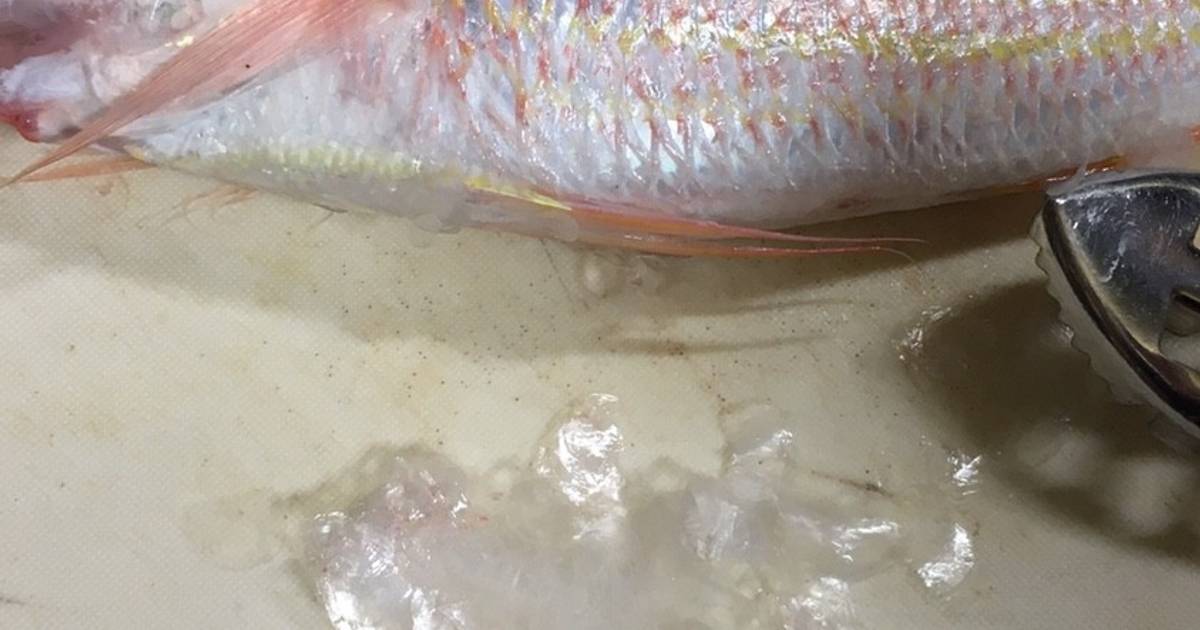基本からアレンジまで！思わずつくりたくなる「魚のウロコ」のレシピ集 | クックパッド