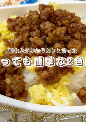 偏食息子がおかわりした！我が家の2色丼-レシピのメイン写真