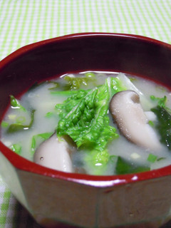 白菜の味噌汁-レシピのメイン写真