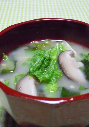 白菜の味噌汁-レシピのメイン写真