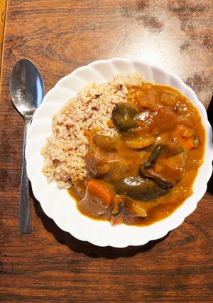 茄子と根菜和風雑穀玄米カレー-レシピのメイン写真