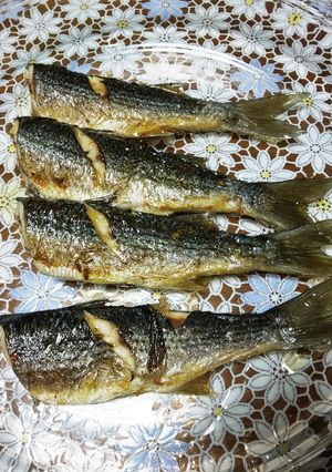 ボラの胡麻油焼き-レシピのメイン写真