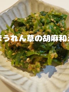 ほうれん草の胡麻和え-レシピのメイン写真