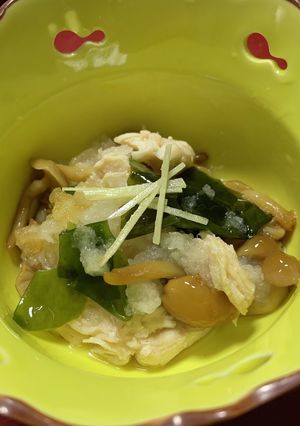 ささみのおろしあえ-レシピのメイン写真