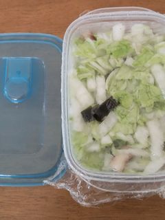 レンジ加熱で即席白菜の浅漬け-レシピのメイン写真