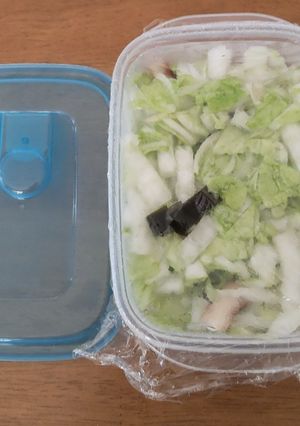 レンジ加熱で即席白菜の浅漬け-レシピのメイン写真