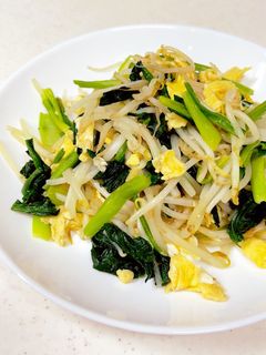 もやし ほうれん草 中華炒め-レシピのメイン写真