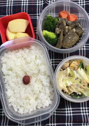 20230112マイ弁当-レシピのメイン写真