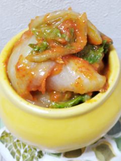 簡単本格 自家製キムチ〜梅酒の梅活用〜-レシピのメイン写真