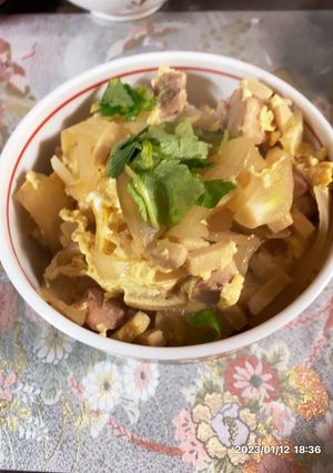 かさましの親子丼作りました!-レシピのメイン写真