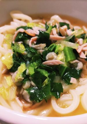 子ども向け野菜たっぷりあんかけうどん-レシピのメイン写真