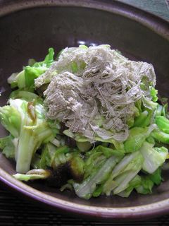 春キャベツととろろ昆布のやさしい和え浸し-レシピのメイン写真