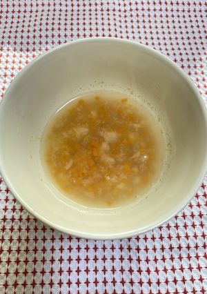 玉ねぎとにんじんのパンスープ＊7～8か月-レシピのメイン写真