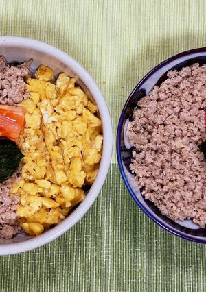 豚ひき肉と炒り卵のそぼろ丼-レシピのメイン写真