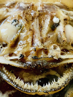 コラーゲンたっぷり・あんこう煮付け-レシピのメイン写真