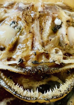 コラーゲンたっぷり・あんこう煮付け-レシピのメイン写真