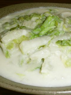 やさしい白菜のミルク煮-レシピのメイン写真