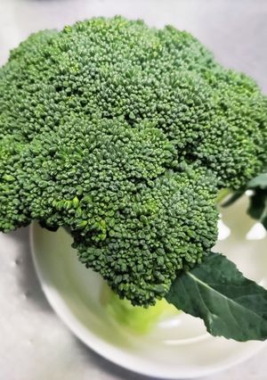 葉物のお野菜の下準備-レシピのメイン写真