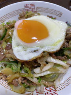 長ネギ一本丼-レシピのメイン写真
