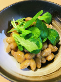 毎日の納豆●新鮮野菜「マーシュ」添え-レシピのメイン写真