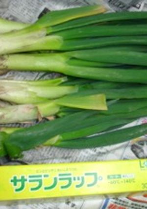 【冷凍保存】長葱白葱など根深葱の保存方法-レシピのメイン写真