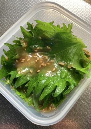 大葉の味噌漬け-レシピのメイン写真