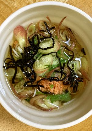 鮭と薬味のオートミール茶漬け-レシピのメイン写真