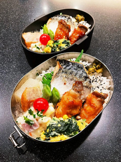 高校生弁当2023 1月17塩鯖と肉巻き-レシピのメイン写真