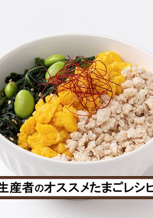 三色そぼろ丼-レシピのメイン写真