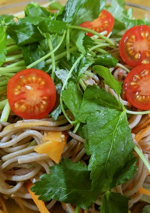 香味野菜たっぷり♪そばサラダ-レシピのメイン写真