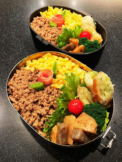 高校生弁当2023 1月18そぼろ丼弁当-レシピのメイン写真