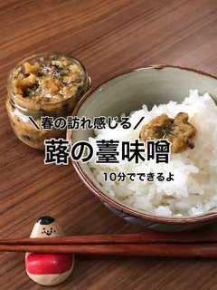 蕗の薹みそ(茹でバージョン)-レシピのメイン写真