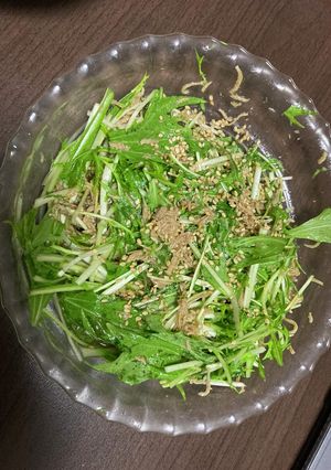 水菜としらすのサラダ-レシピのメイン写真