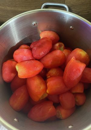 冬に実る夏の果実(トマトソース)-レシピのメイン写真