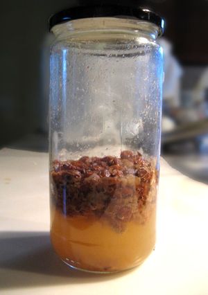 自家製酵母で☆りんご風味のパンに-レシピのメイン写真
