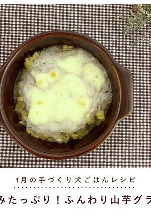 犬ご飯/ふんわり山芋グラタン-レシピのメイン写真
