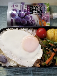 野菜炒め弁当(1.19)-レシピのメイン写真