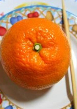 お箸1本の秘伝!?☆いよかんの皮むき☆☆-レシピのメイン写真