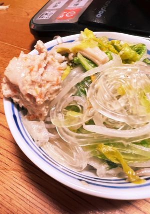 鶏もも肉のつみれ-レシピのメイン写真