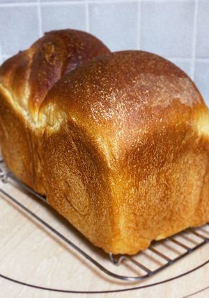 ホシノ天然酵母でふわふわ続く食パン-レシピのメイン写真