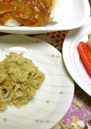 簡単キャベツのみそ漬けで、カレーのお供を-レシピのメイン写真