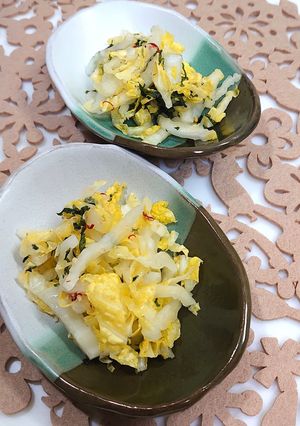 白菜としそのピリ辛浅漬け-レシピのメイン写真