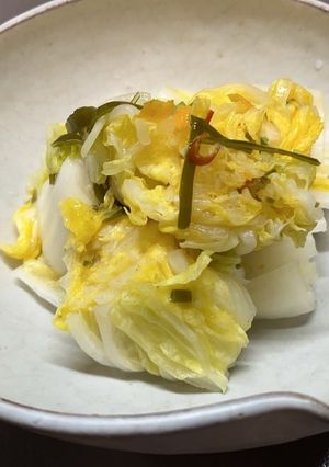 ちょこっと白菜漬け-レシピのメイン写真