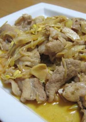 豚肉と豆もやしの酢醤油炒め-レシピのメイン写真