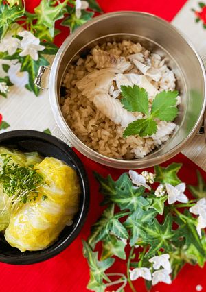 64℃ 鶏ひき肉のロール白菜 弁当-レシピのメイン写真