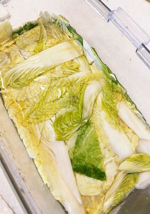 実家の白菜漬け-レシピのメイン写真