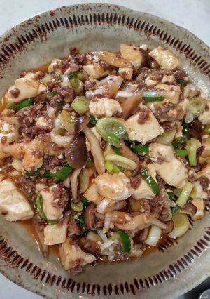 お野菜が沢山食べられる美味しい麻婆豆腐♪-レシピのメイン写真
