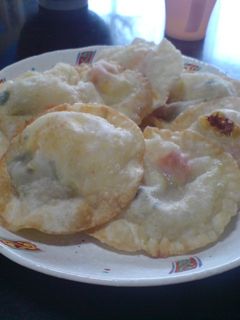 余った餃子の皮☆カルツォーネ-レシピのメイン写真