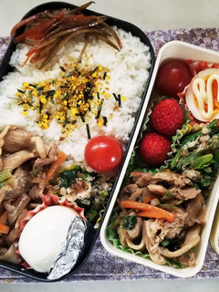 野菜炒め弁当(1.23)-レシピのメイン写真