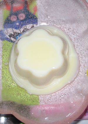 ヘルシー志向のパンナコッタ(豆乳)-レシピのメイン写真